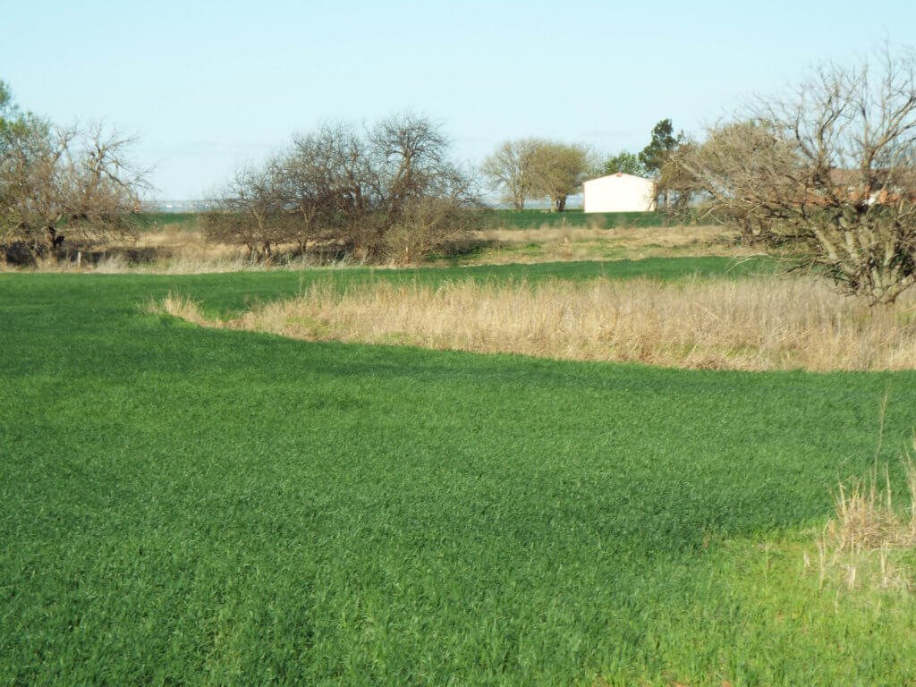 Photo 30