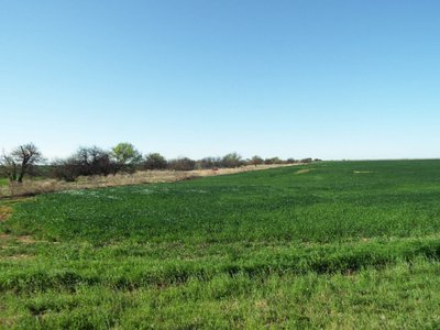 Photo 36