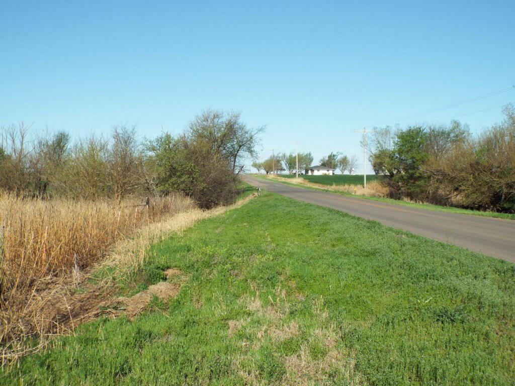 Photo 31