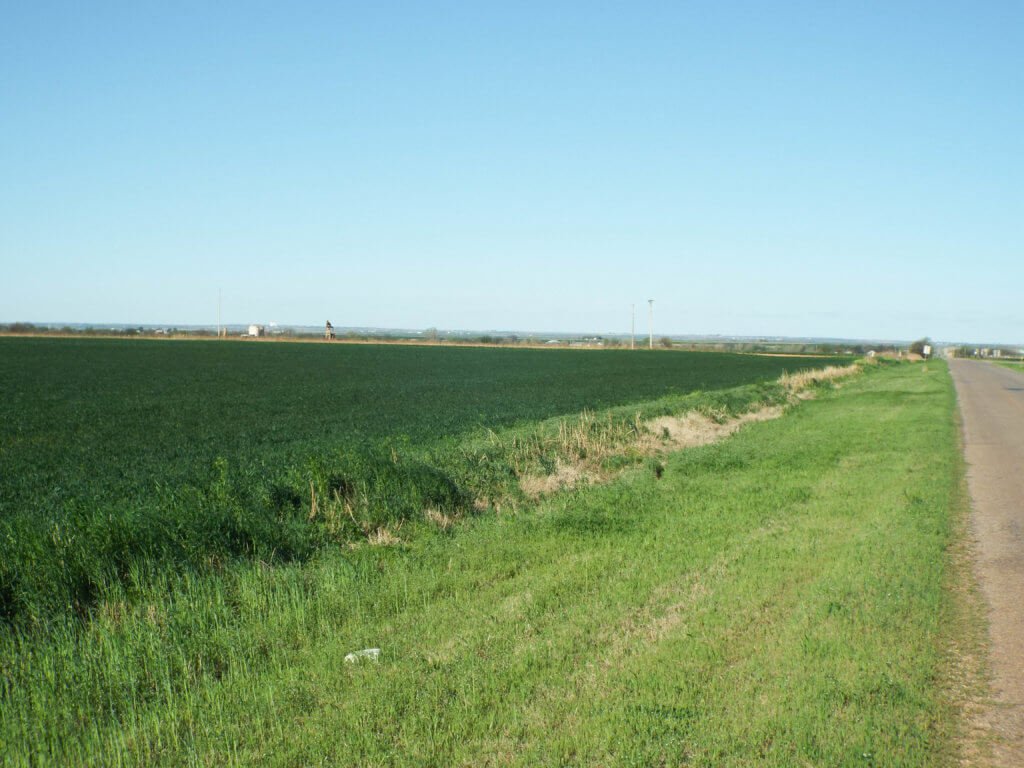 Photo 38