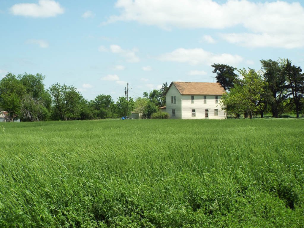 Photo 26