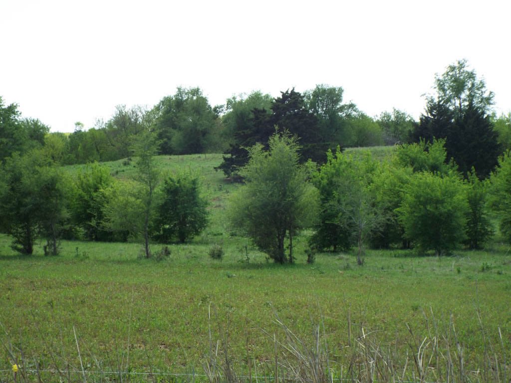 Photo 24