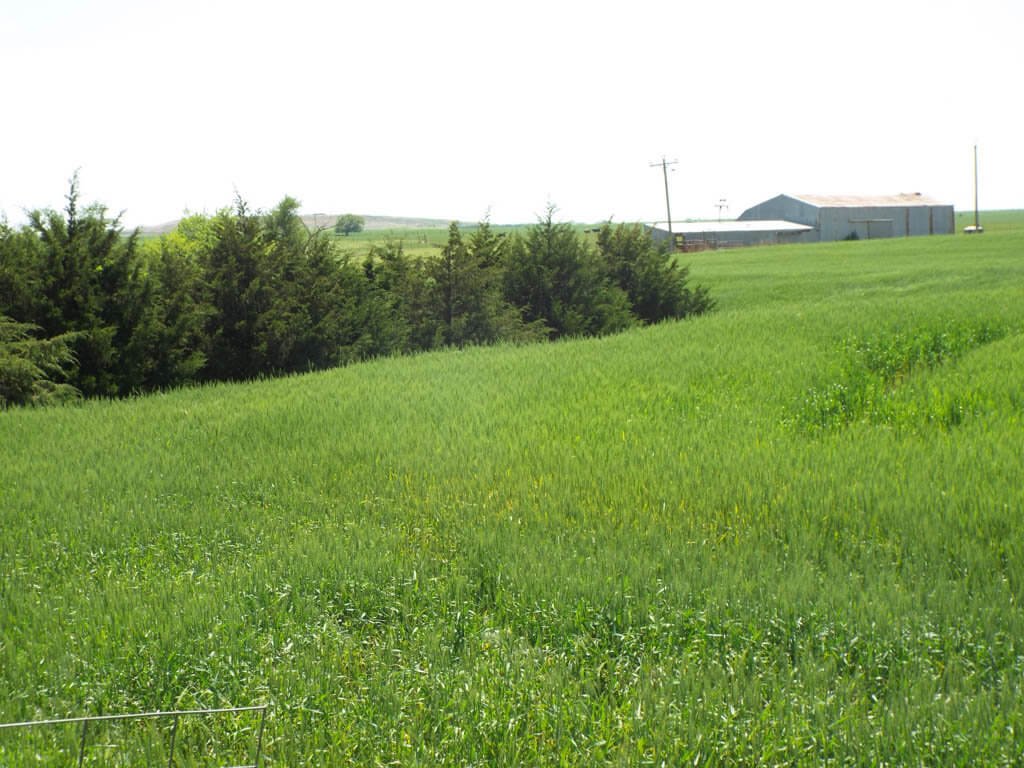 6/4 160± ACRES * CROPLAND * GRASS PASTURE * ALFALFA COUNTY, OKLAHOMA