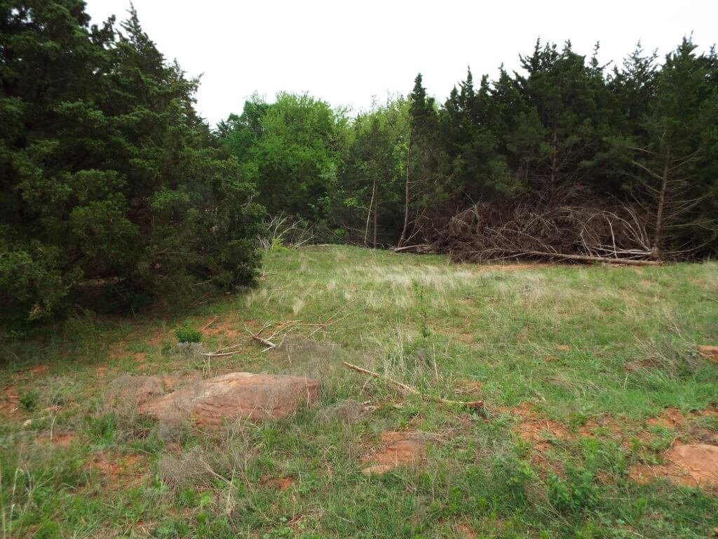 Photo 26