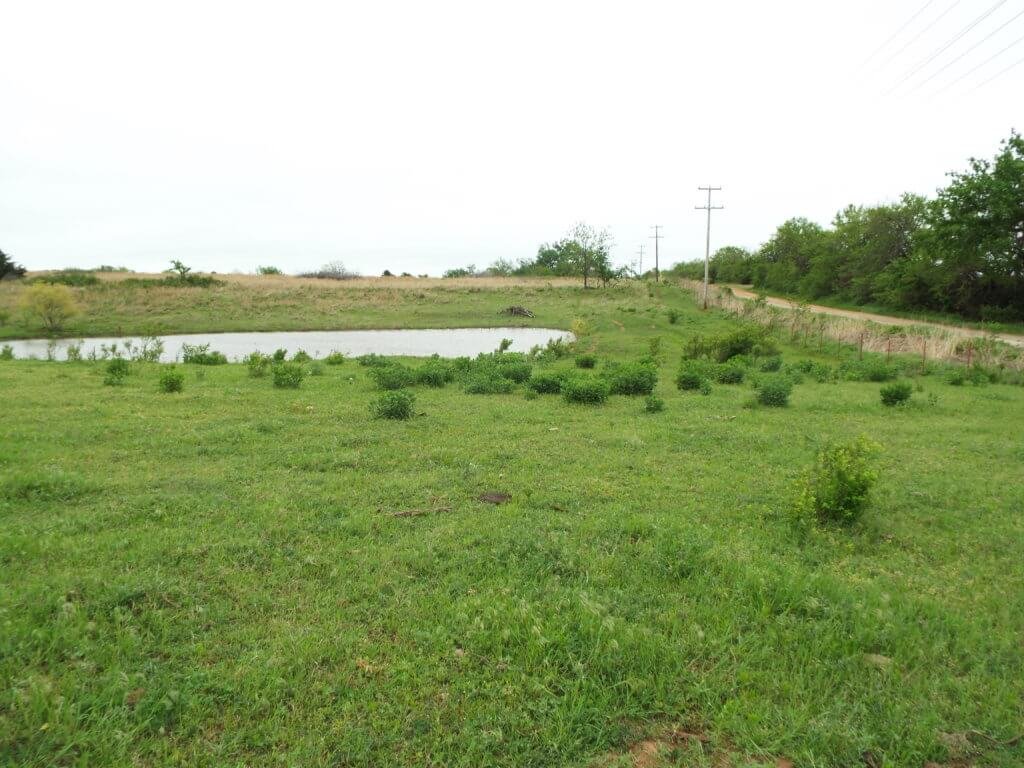 Photo 40