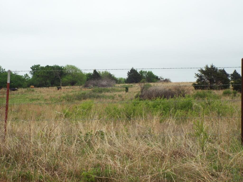 Photo 30