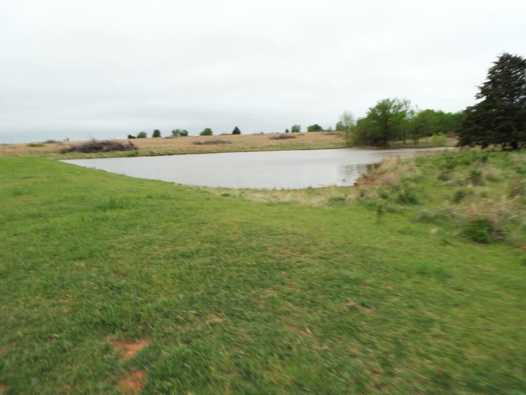 Photo 46