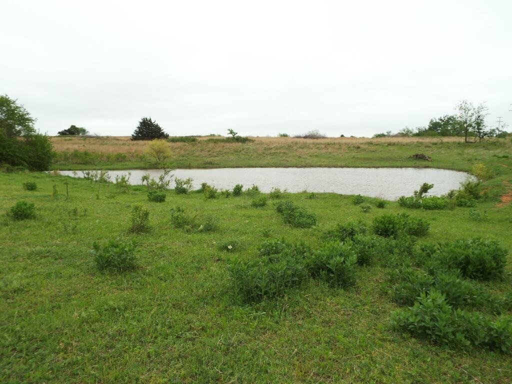 Photo 42