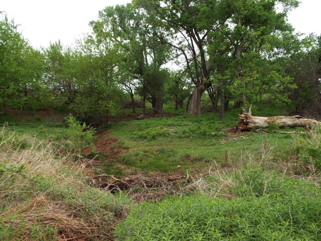 Photo 44