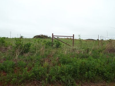 Photo 36
