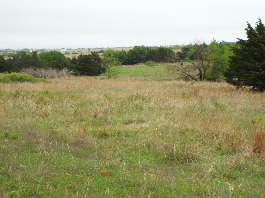 Photo 31