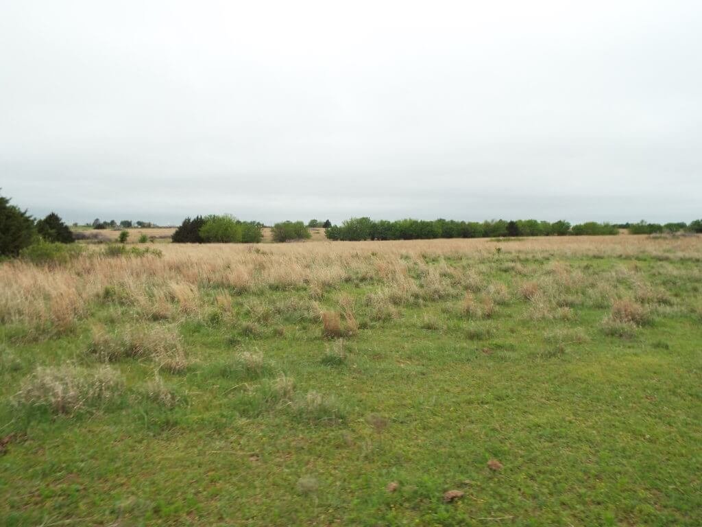 Photo 49