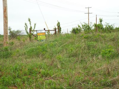 Photo 35