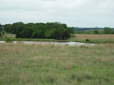 Photo 34
