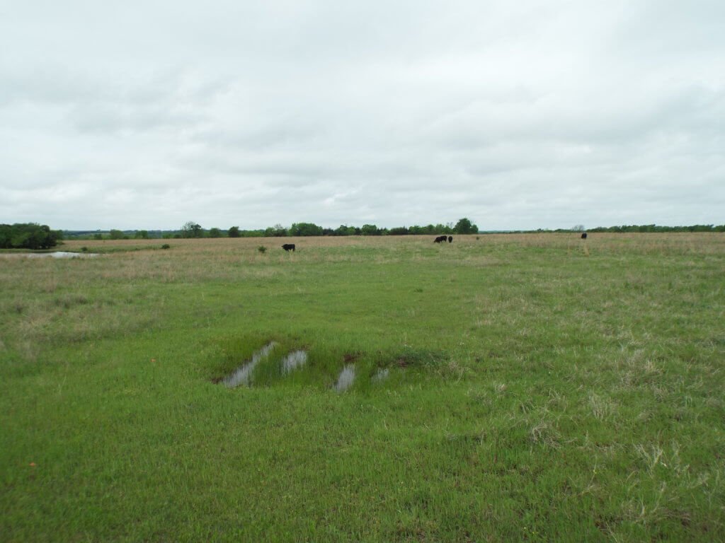 Photo 35