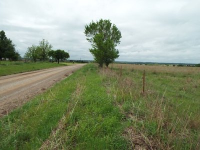 Photo 32