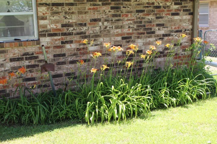 Photo 29