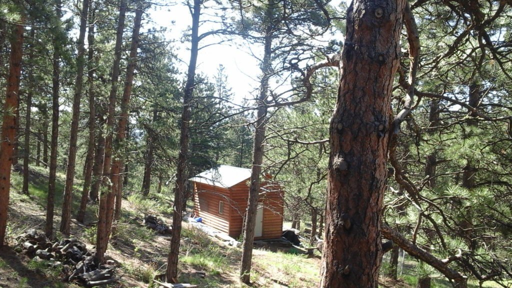 Photo 10