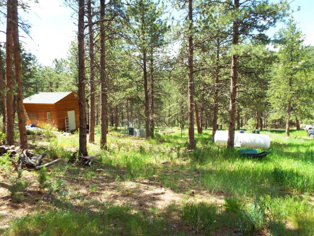 Photo 20