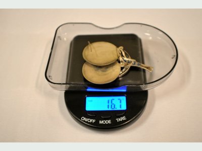 Photo 21