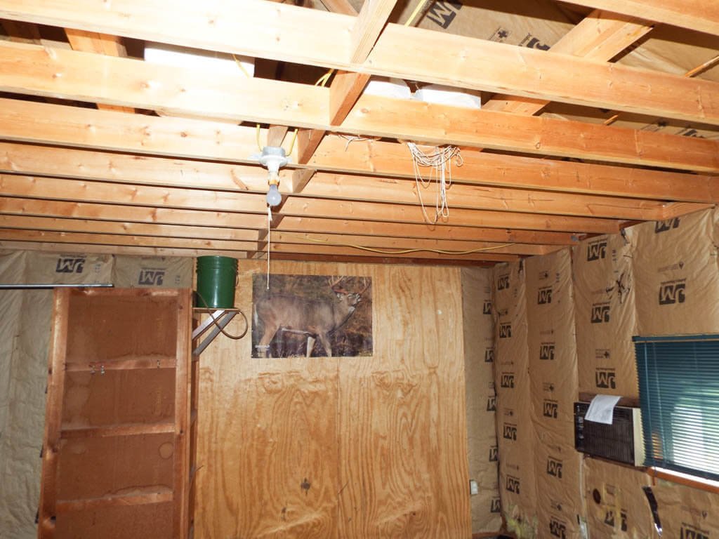 Photo 44