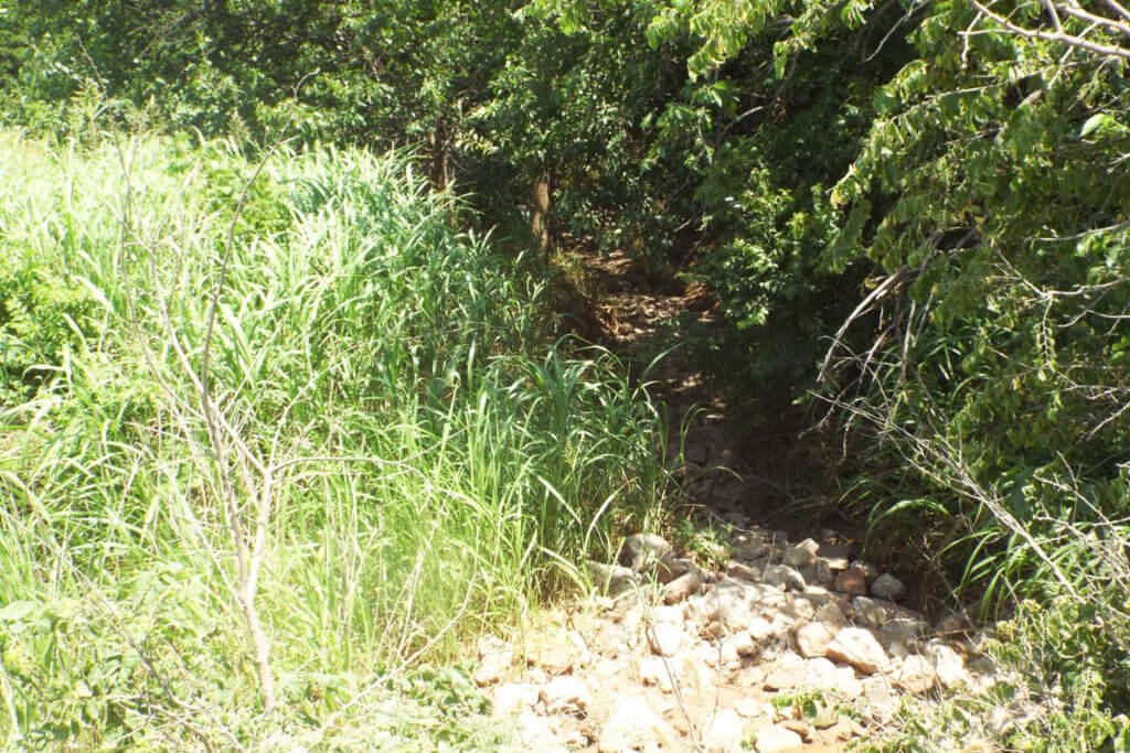 Photo 43