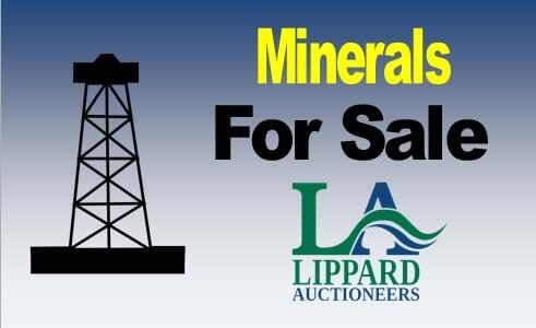 8/20 Online Only Mineral Auction