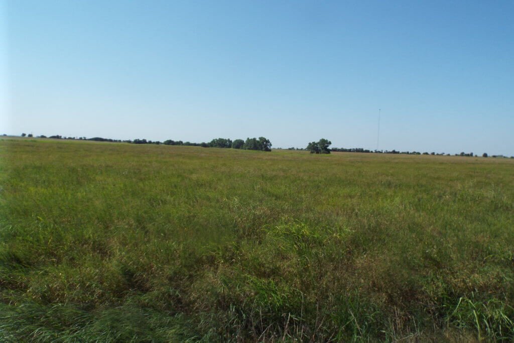 8/26 80± ACRES * GRASSLAND * GRANT COUNTY * MEDFORD OK.