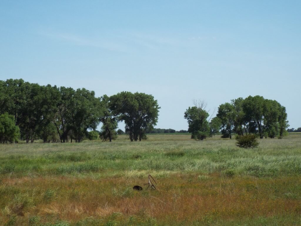 Photo 47