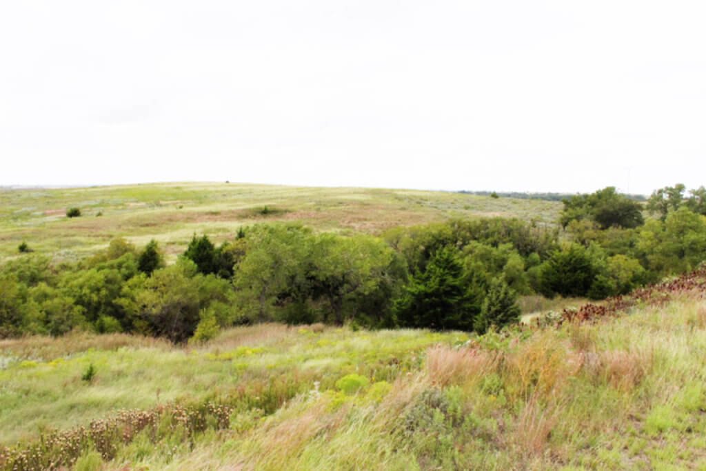 11/13 160± Acres * Elk City * Beckham County * Oklahoma