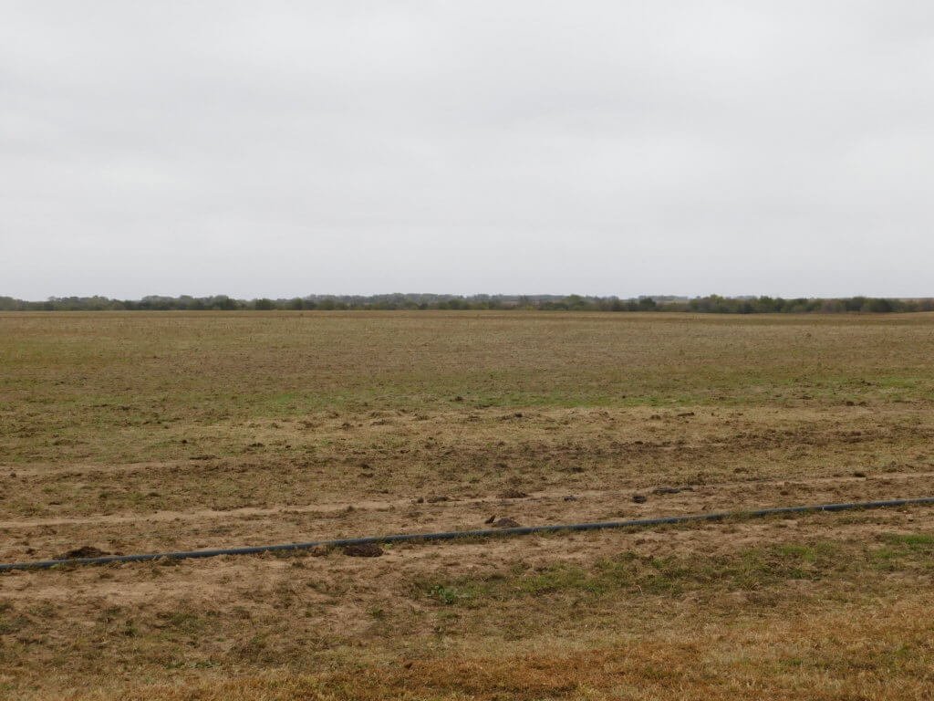Photo 36