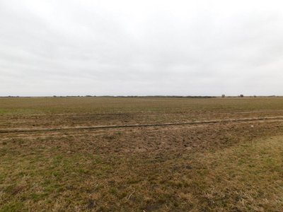 Photo 39