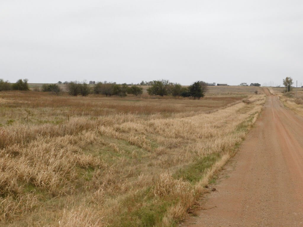 Photo 44