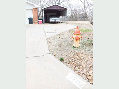 Photo 28