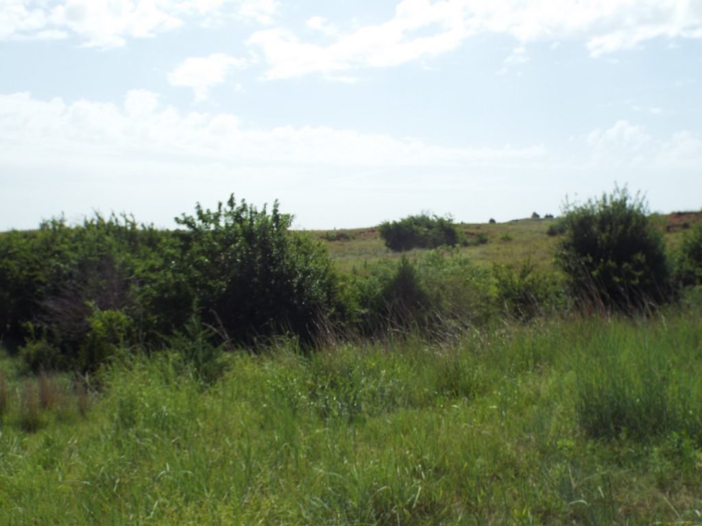 Photo 32