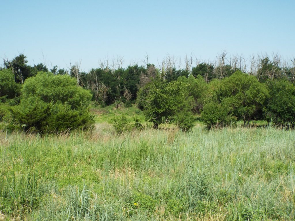 Photo 34