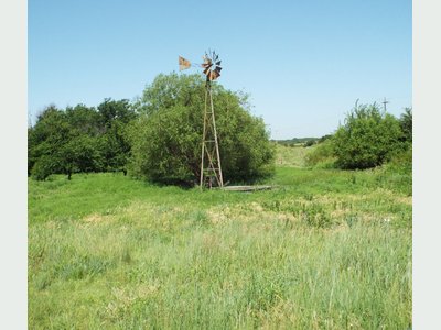 Photo 31