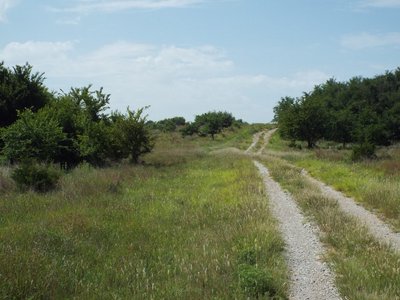 Photo 24
