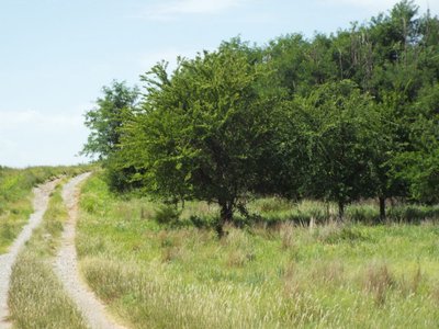Photo 26