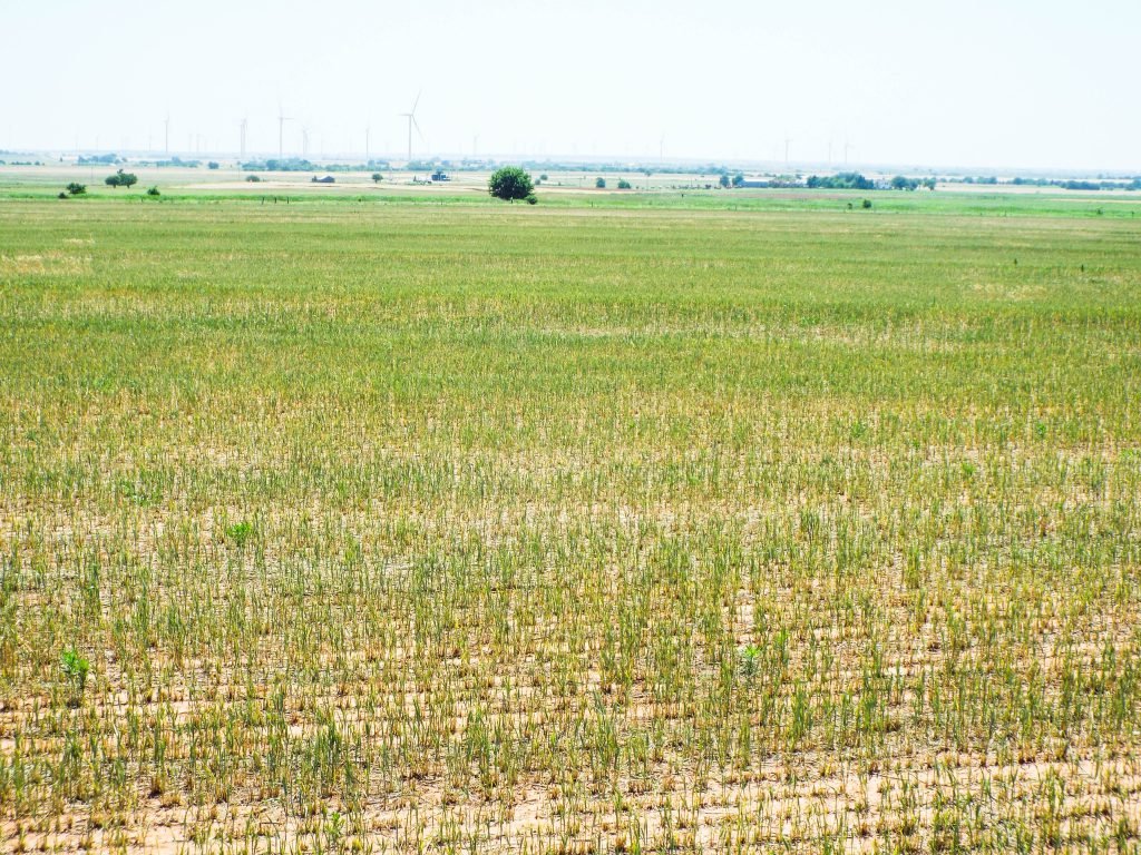 7/21 Douglas Garfield County OK * 170 Acres Cropland * Minerals * 2 Ponds * Railroad Right of Way * Wheat Hay