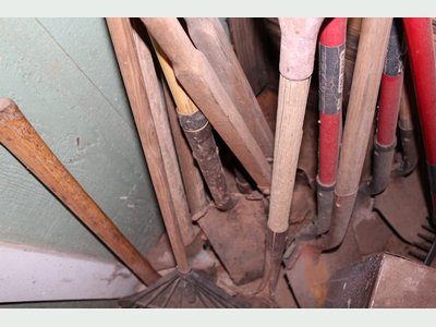 Photo 17