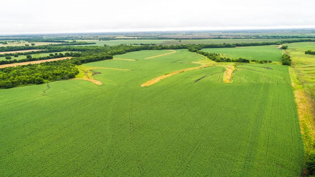 7/31 182± Acre Farm in Delta County, Texas