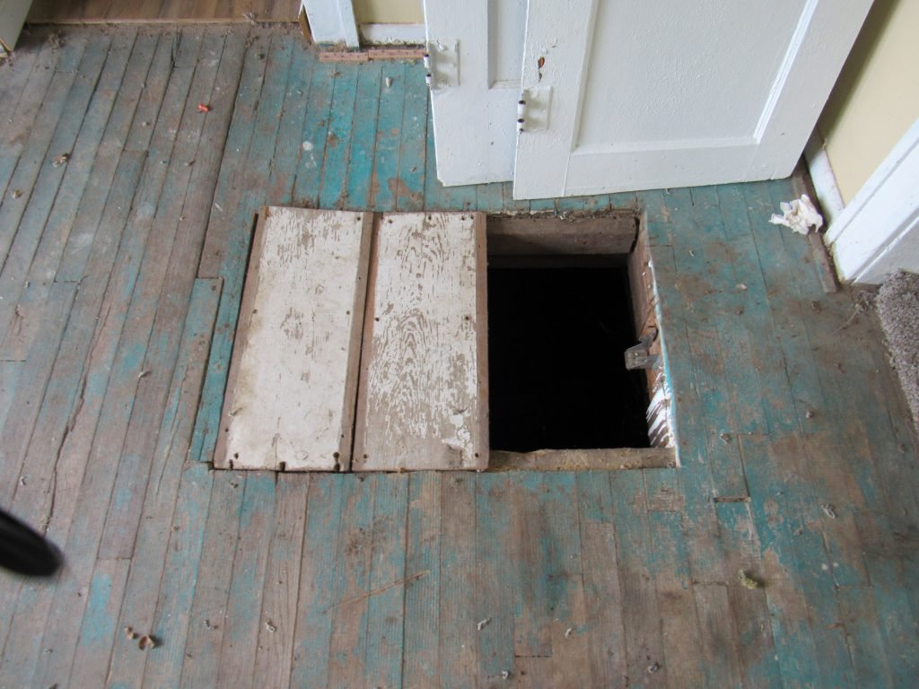 Photo 8