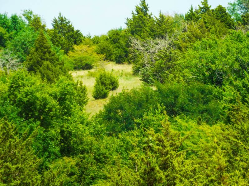 Tract 1