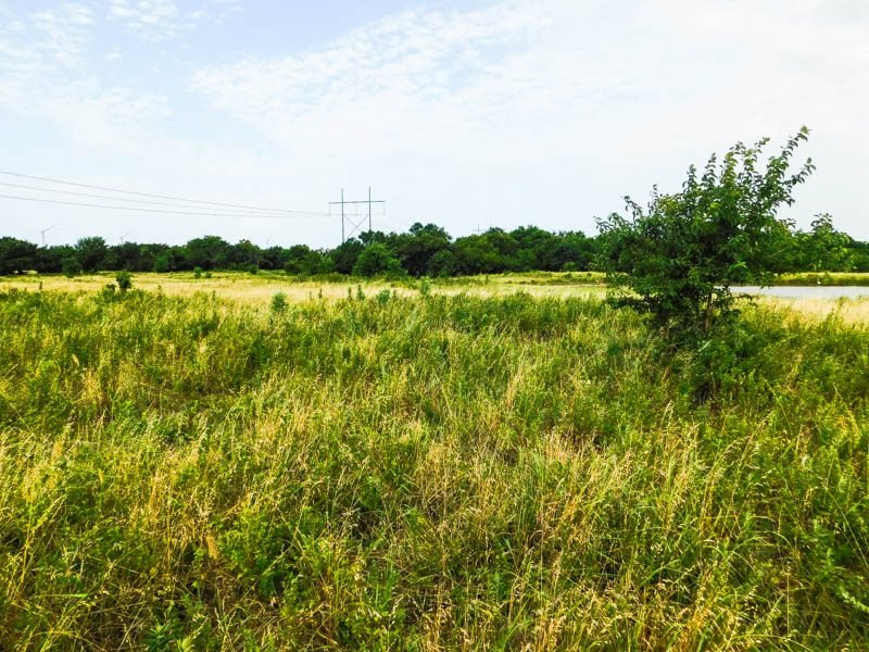 Photo 23