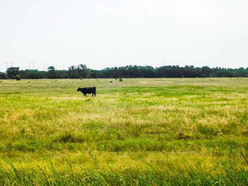 8/21 160± ACRES * NOBLE COUNTY, OKLAHOMA