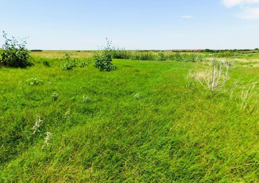 Photo 45