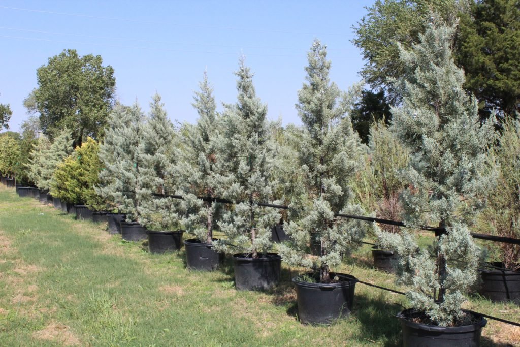 10/15 Garden House Nursery #3