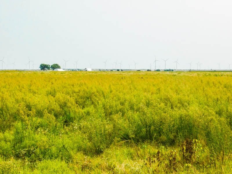 Tract 2