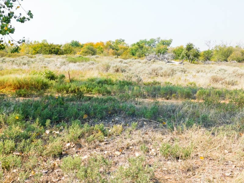 Photo 30